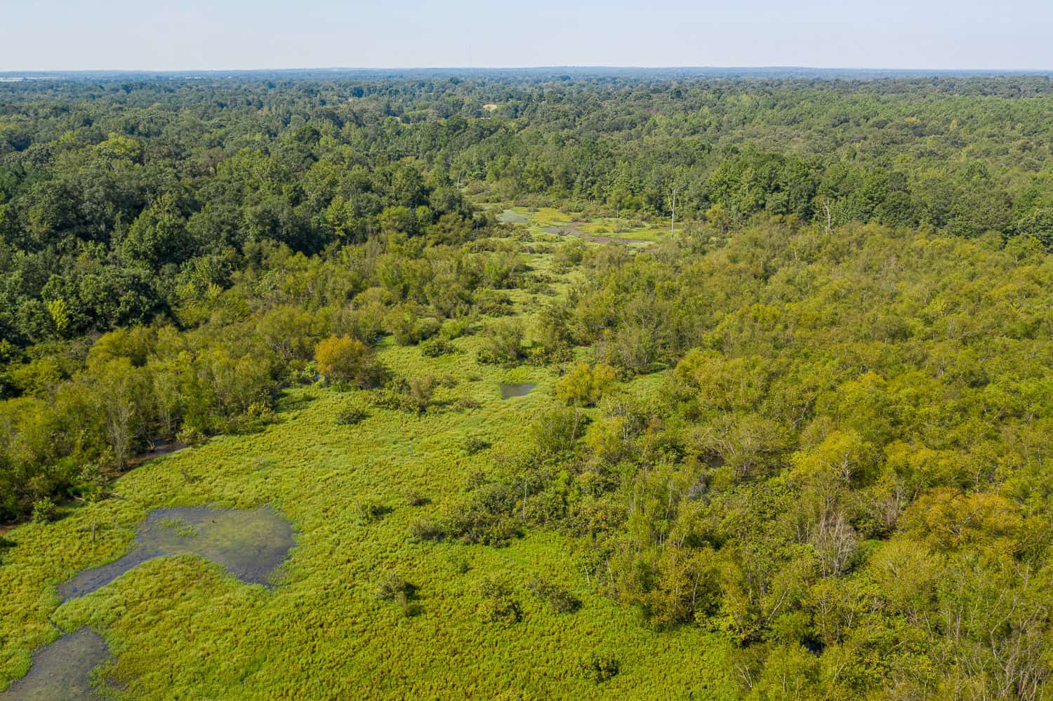 863-Acre Hunting Ranch on the Sabine River near Big Sandy TX