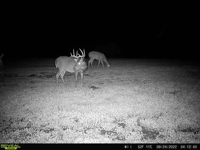 44± Acre Premier Duck and Deer Hunting Property Marquette Cty WI