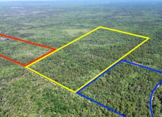 Hunting Tracts Near Suwannee River | Levy County | 40-192 Acres