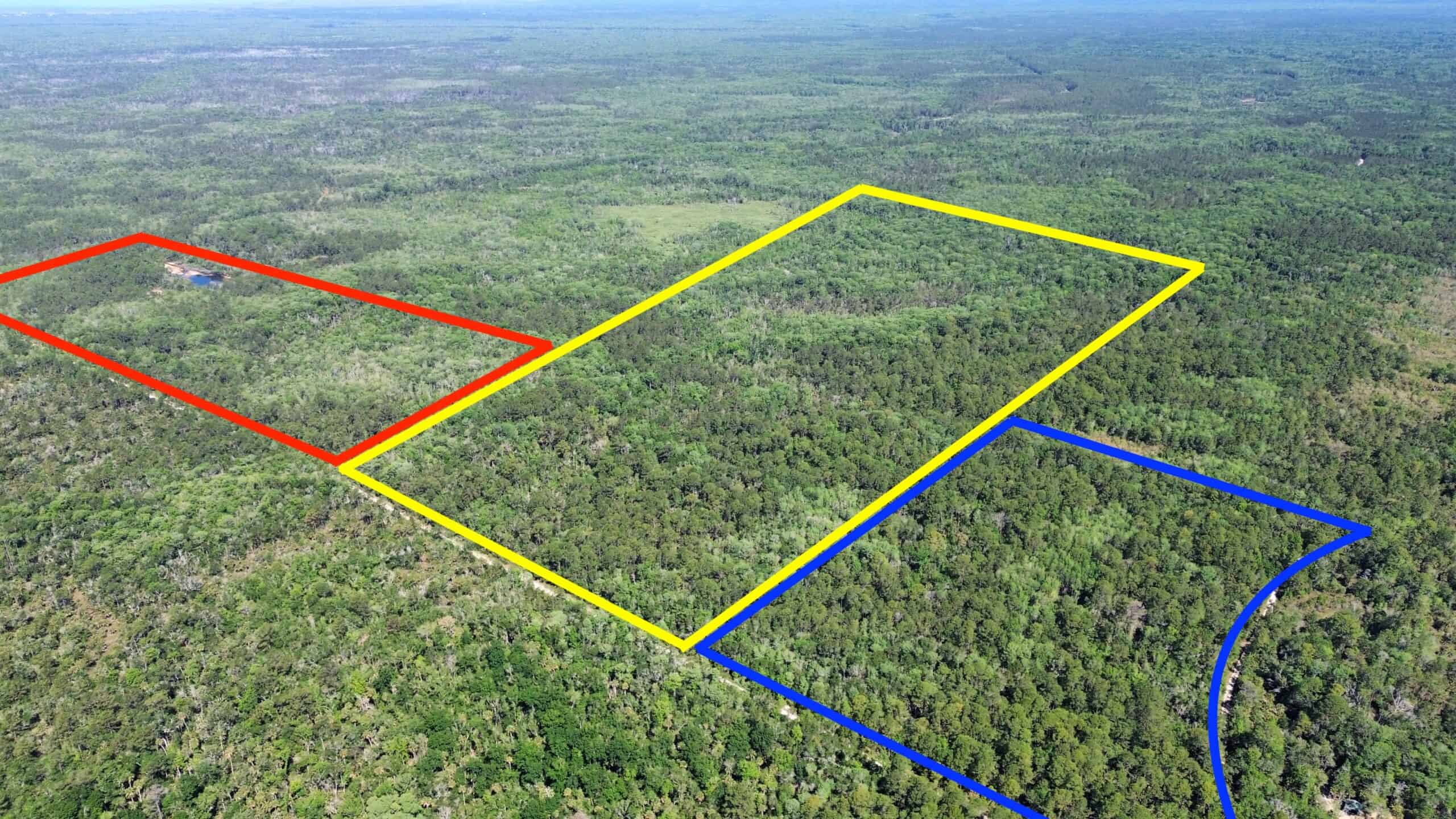 Hunting Tracts Near Suwannee River | Levy County | 40-192 Acres