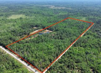 Hunting Tracts Near Suwannee River | Levy County | 40-192 Acres