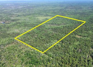 Hunting Tracts Near Suwannee River | Levy County | 40-192 Acres