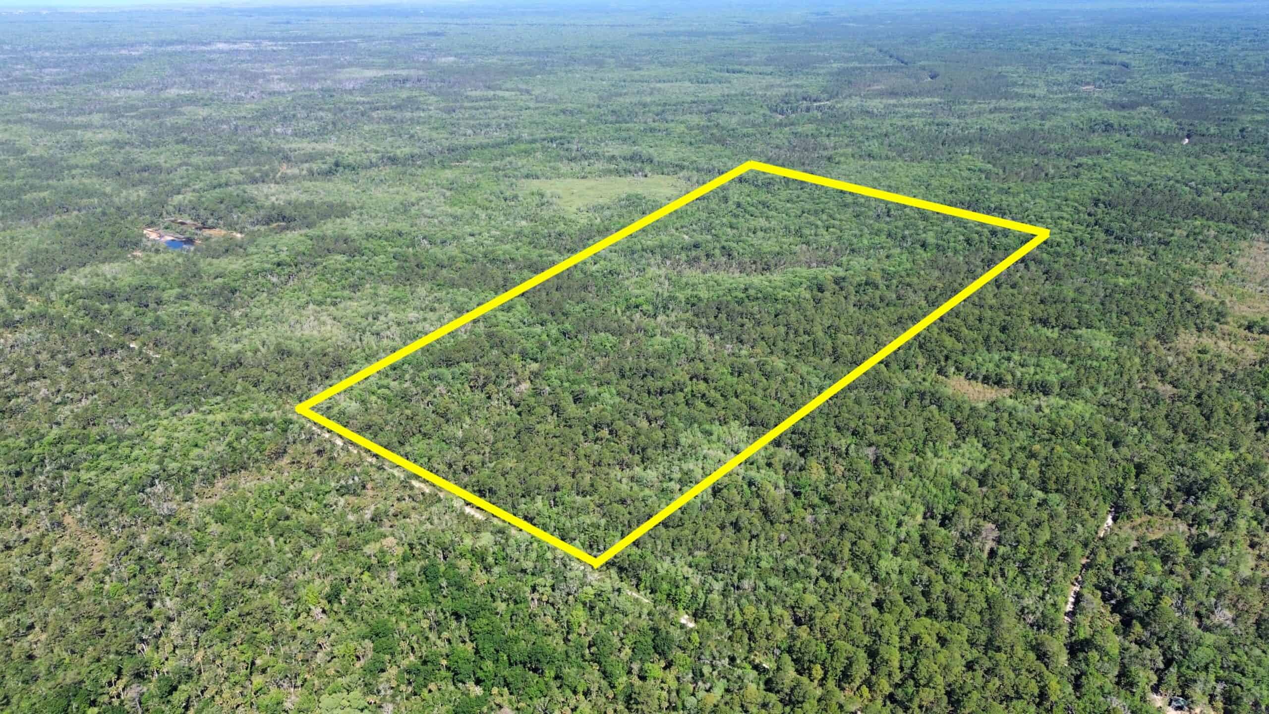 Hunting Tracts Near Suwannee River | Levy County | 40-192 Acres