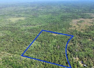 Hunting Tracts Near Suwannee River | Levy County | 40-192 Acres