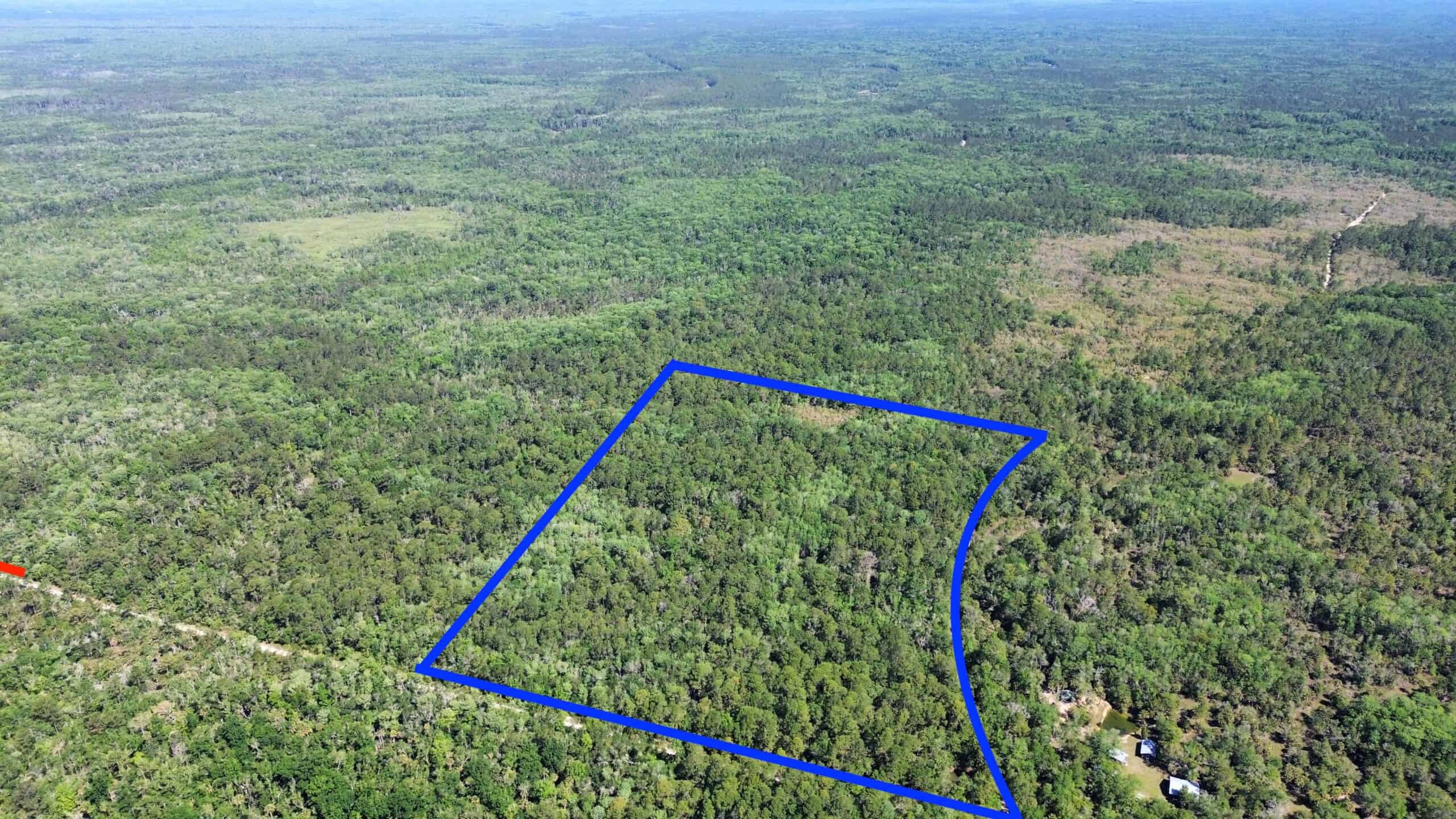Hunting Tracts Near Suwannee River | Levy County | 40-192 Acres