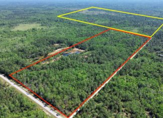 Hunting Tracts Near Suwannee River | Levy County | 40-192 Acres