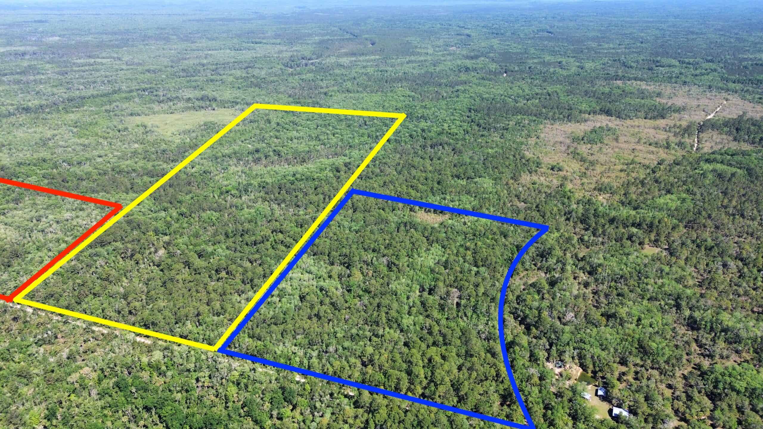 Hunting Tracts Near Suwannee River | Levy County | 40-192 Acres