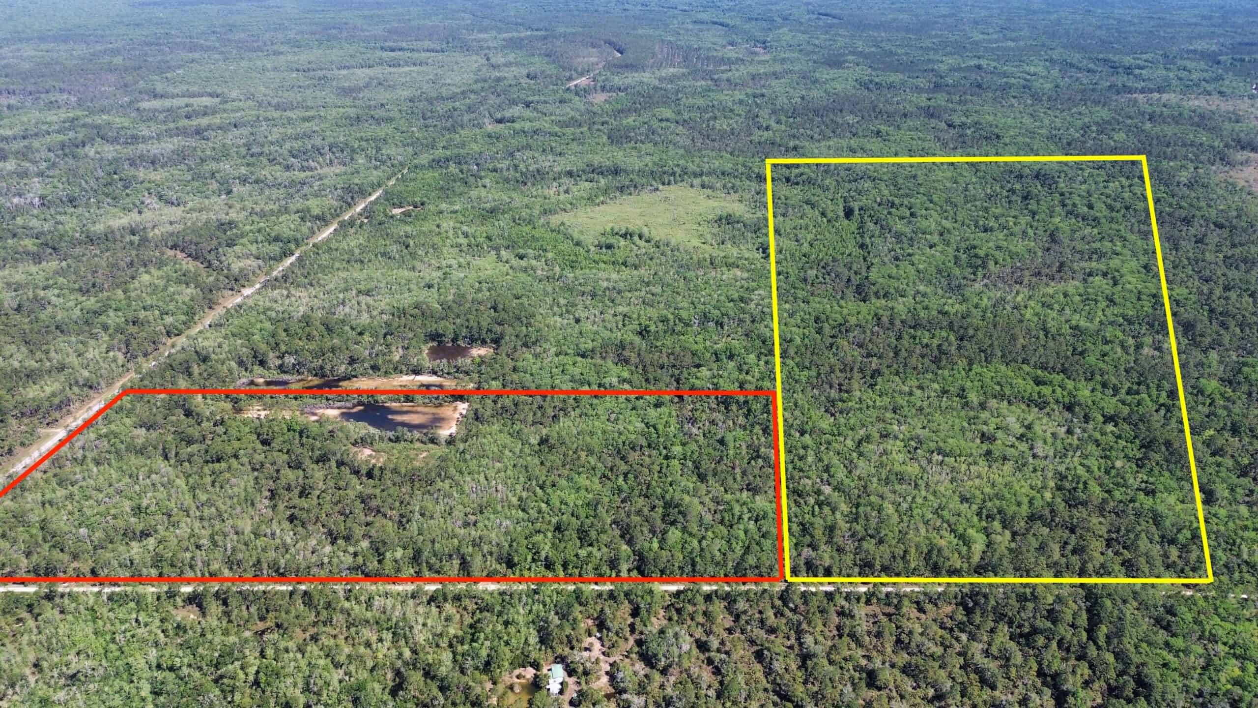 Hunting Tracts Near Suwannee River | Levy County | 40-192 Acres