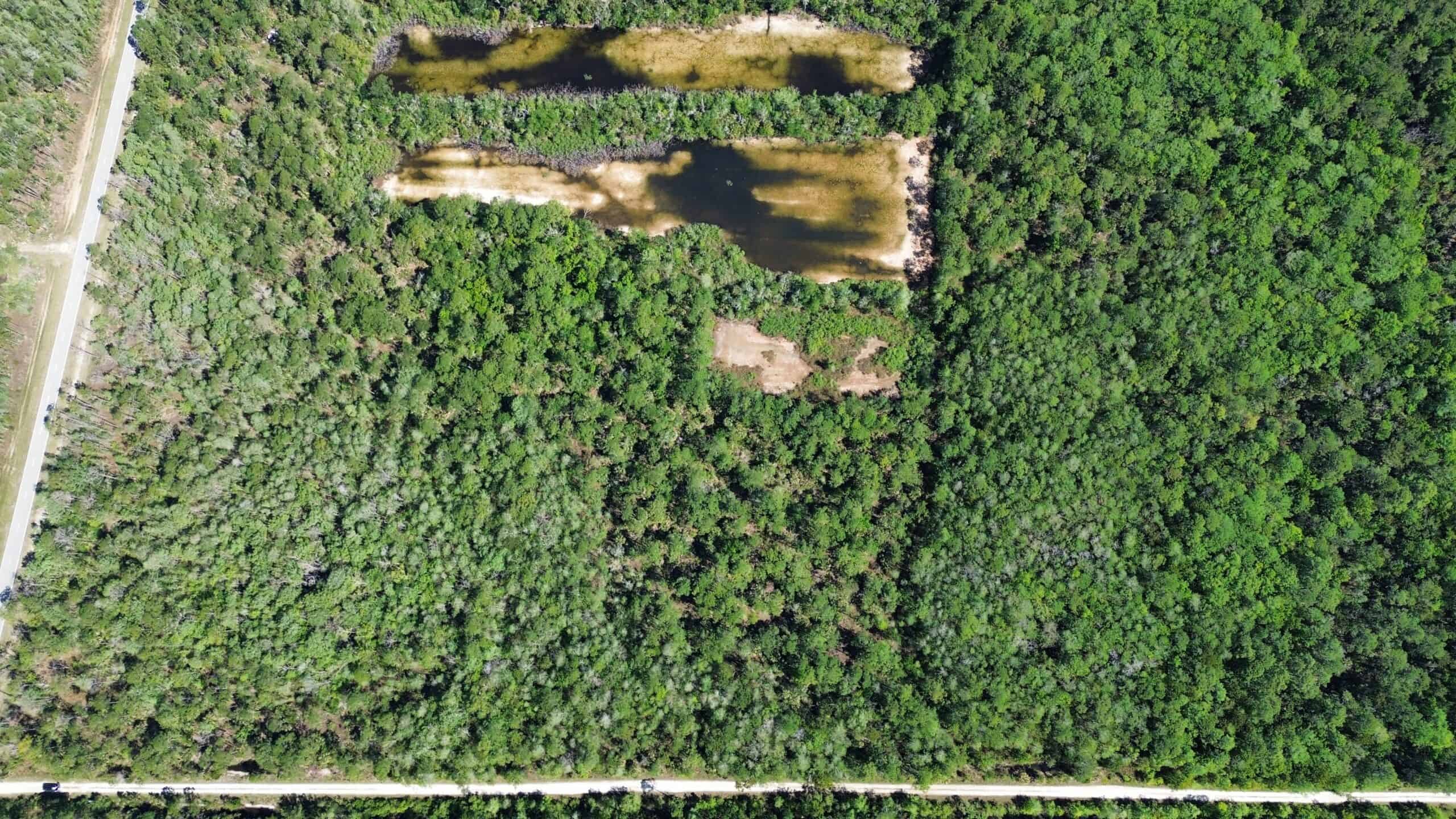 Hunting Tracts Near Suwannee River | Levy County | 40-192 Acres