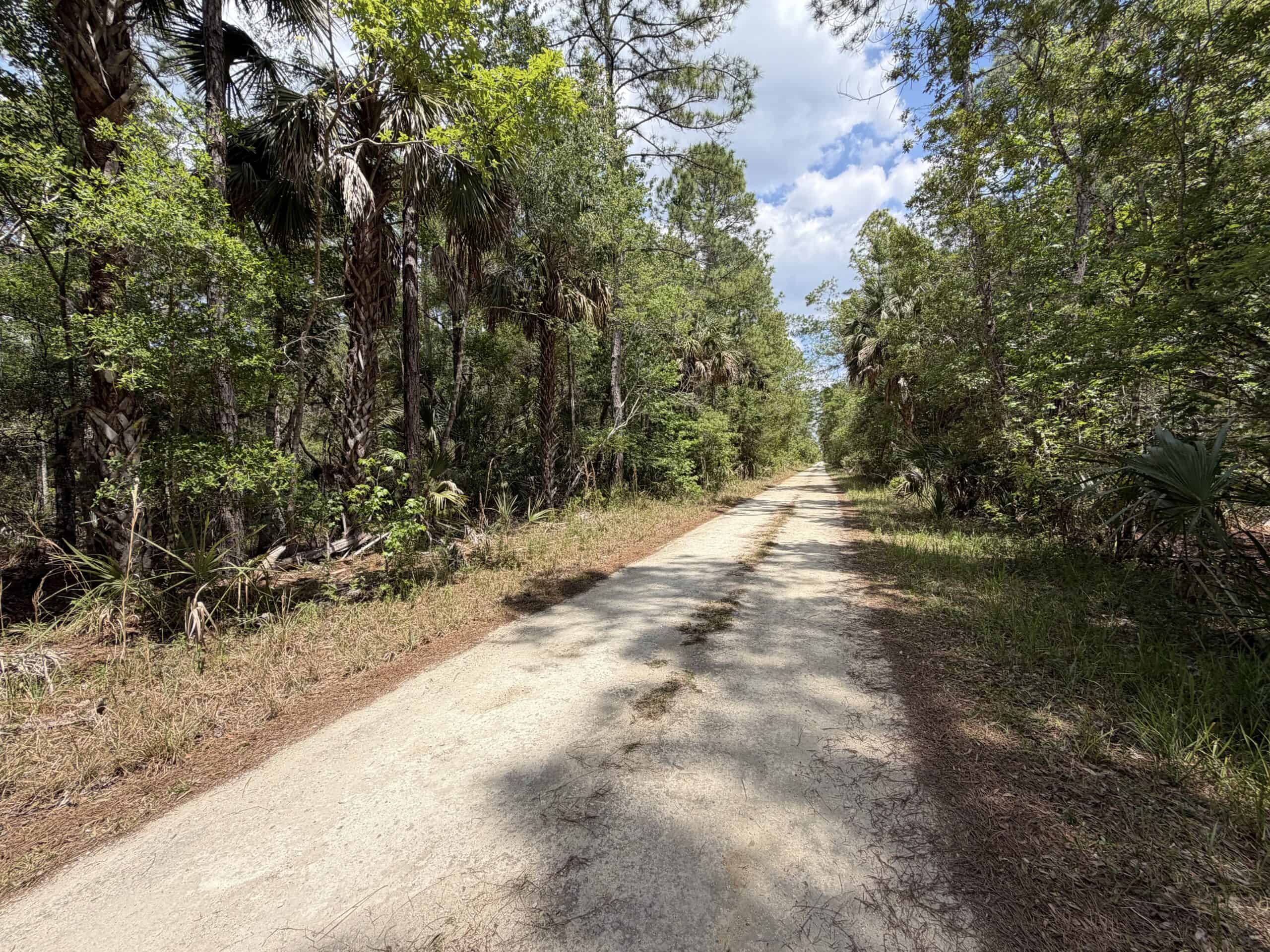 Hunting Tracts Near Suwannee River | Levy County | 40-192 Acres