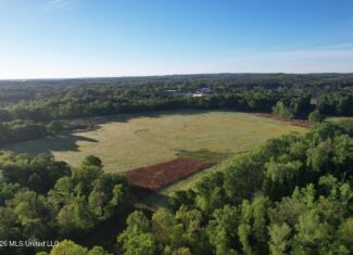 266± Acres Hinds/Copiah Line with Creek and Income