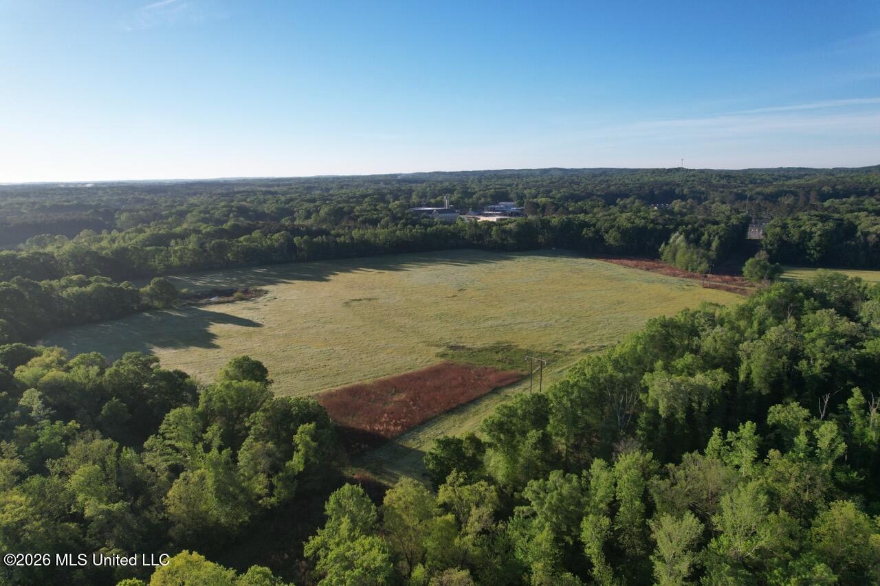 266± Acres Hinds/Copiah Line with Creek and Income