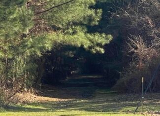 Hunting and Recreational Land for Sale in Amite County, Miss