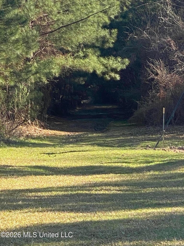 Hunting and Recreational Land for Sale in Amite County, Miss