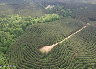 47 Acres in St. Helena Parish, LA with Black Creek