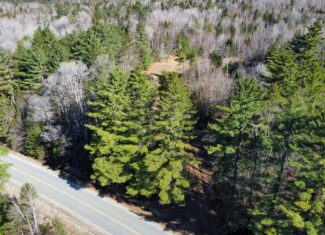 Western Maine Land for Sale – Near Sugarloaf & Outdoor Recreation