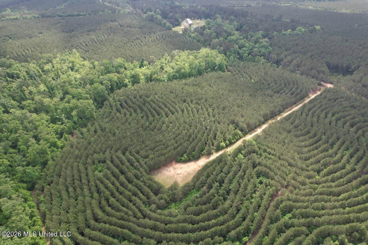 47 Acres in St. Helena Parish, LA with Black Creek