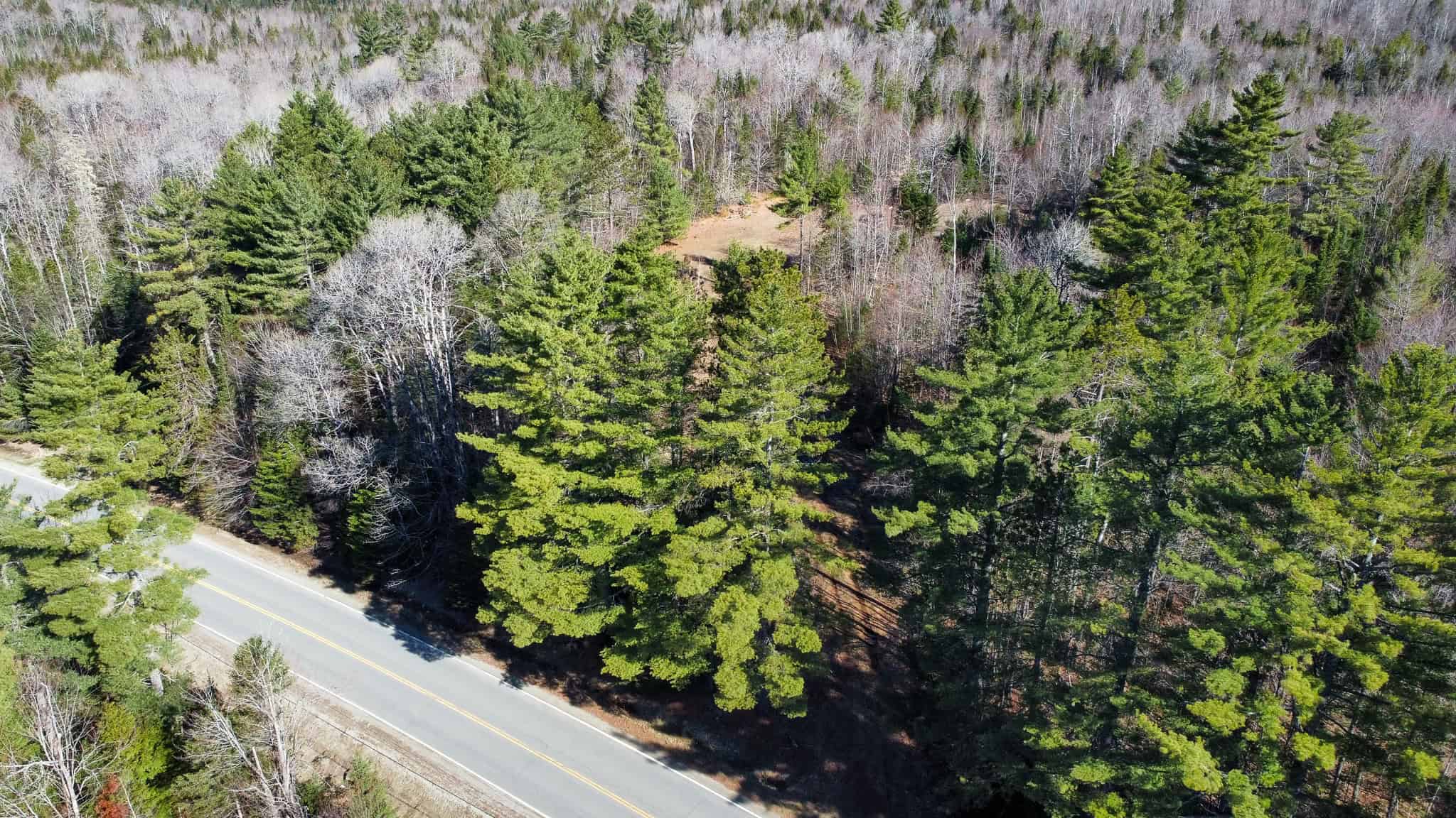 Western Maine Land for Sale – Near Sugarloaf & Outdoor Recreation