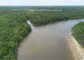 385 Acres Pearl River Frontage Louisiana