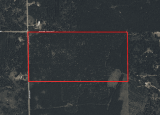 80± acre timber tract in the heart of northern Adams County