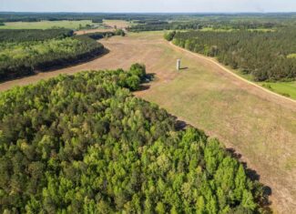 455 Acres Hunting & Income Land in Choctaw County MS