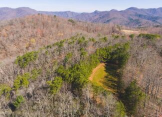 Acreage for Sale Adjoining Primland Resort