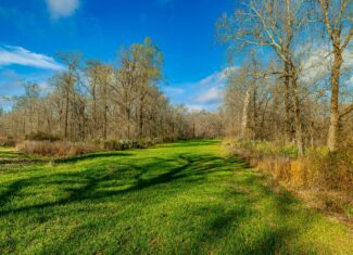 525+/- Acre Hunting Lodge for Sale in Sportsmans Paradise