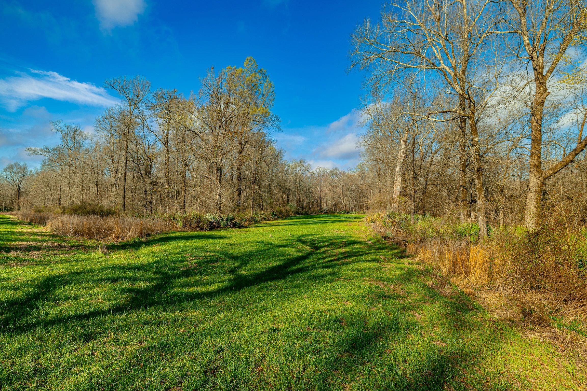 525+/- Acre Hunting Lodge for Sale in Sportsmans Paradise