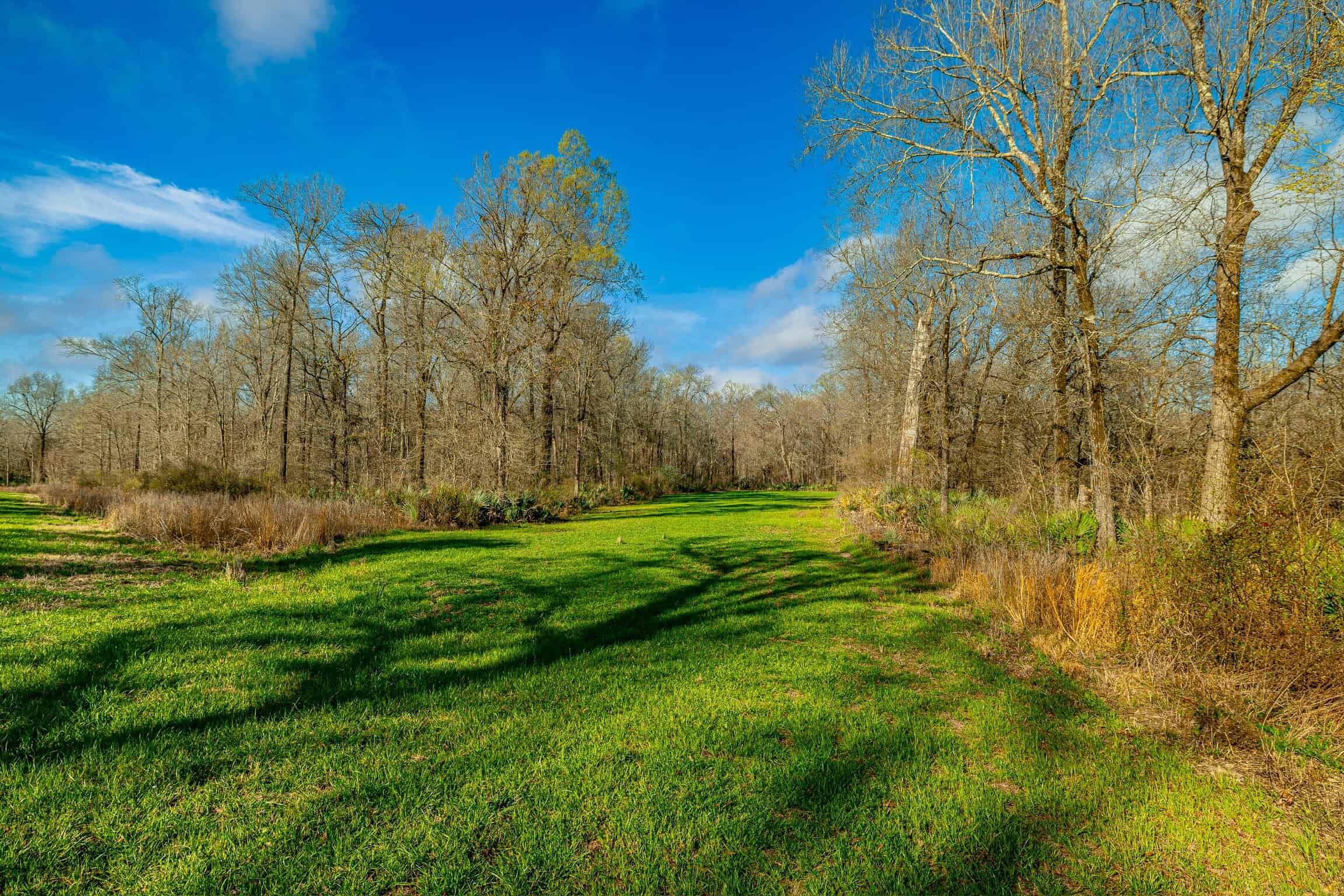 Tensas Parish Duck and Deer Hunting Property