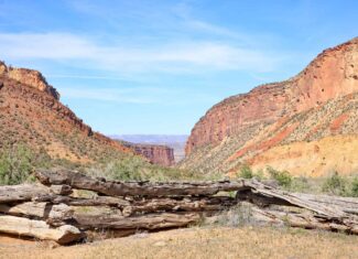 Acreage for Sale Gateway, Colorado