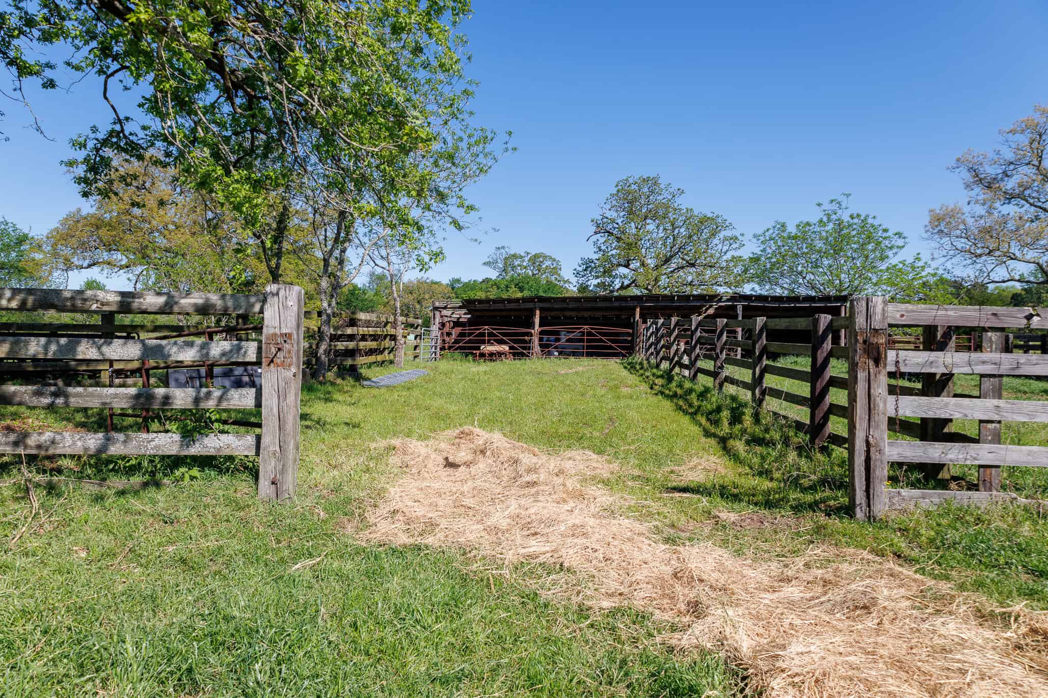 31.74 Acre Recreational Ranch Near Bullard in Smith County TX