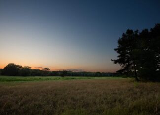 863-Acre Hunting Ranch on the Sabine River near Big Sandy TX