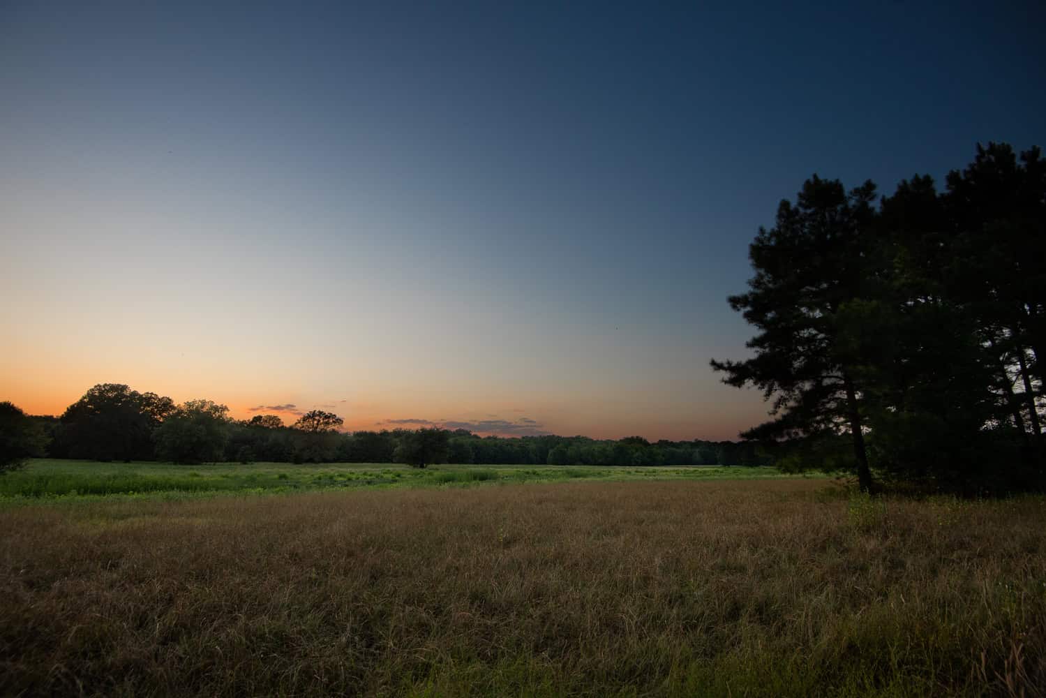 863-Acre Hunting Ranch on the Sabine River near Big Sandy TX
