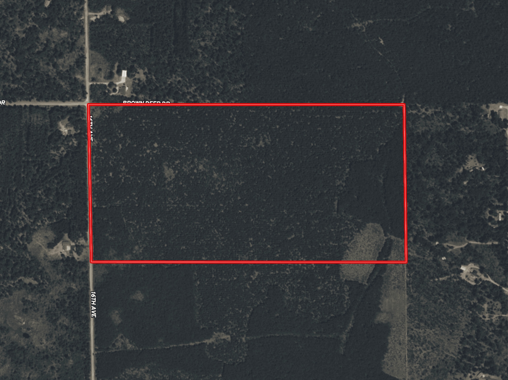 80± acre timber tract in the heart of northern Adams County