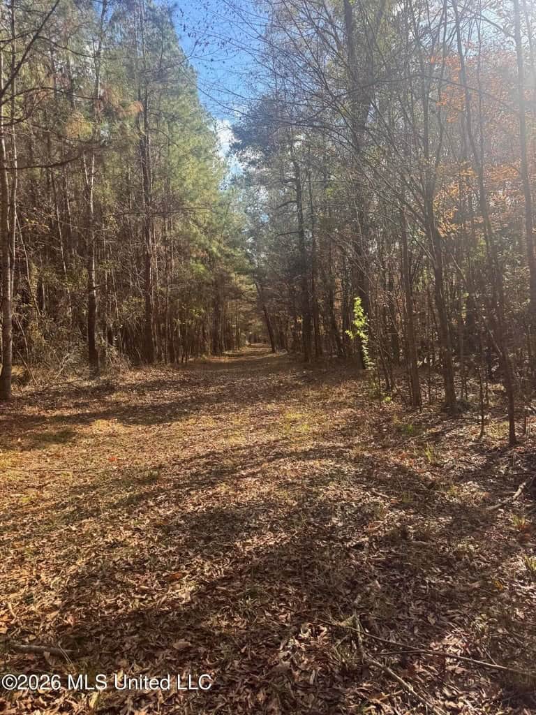 South Mississippi Hunting Land for Sale in Walthall County