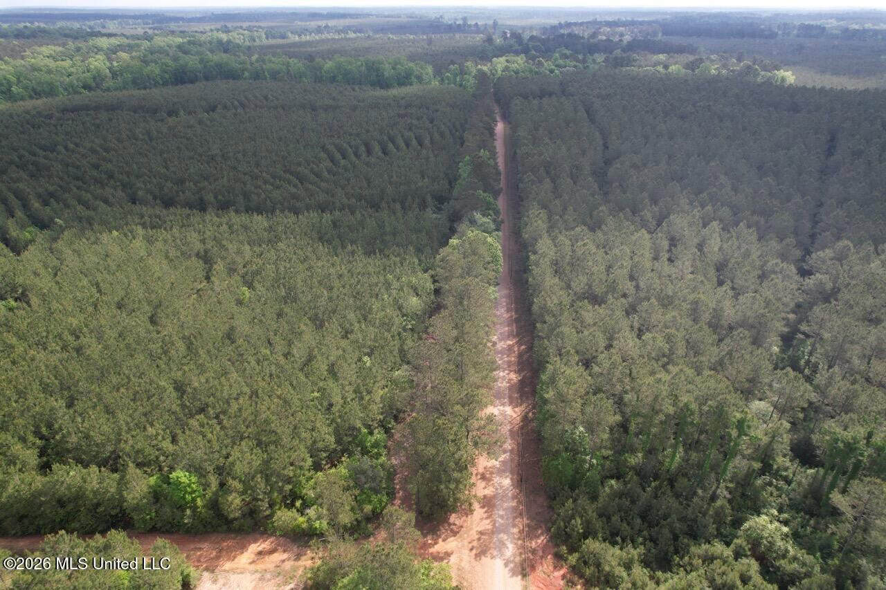 46 Acres in St. Helena Parish, LA Hunting Property for Sale