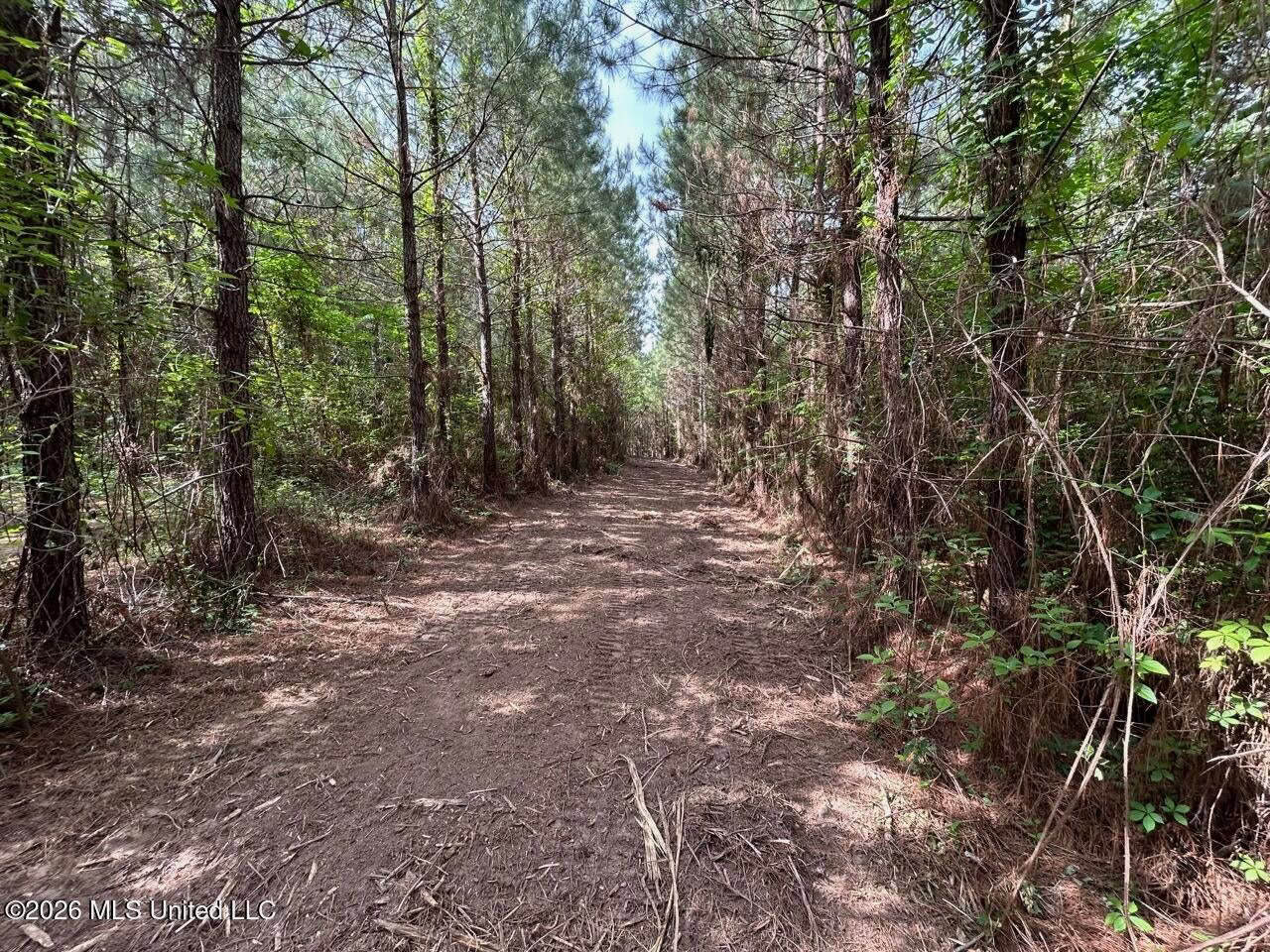 47 Acres in St. Helena Parish, LA with Black Creek
