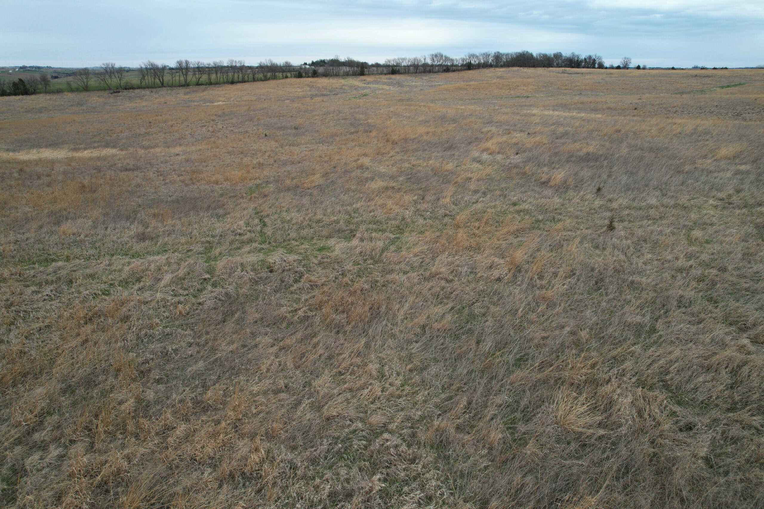 Southwest Iowa Recreational CRP Farm