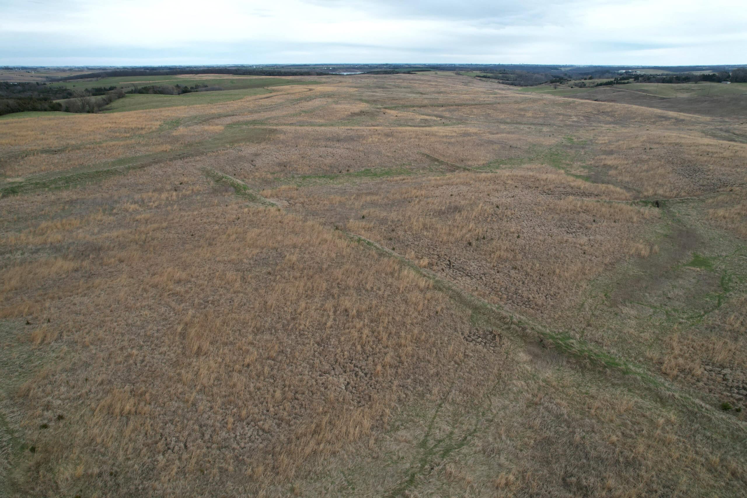 Southwest Iowa Income Producing Combination Farm
