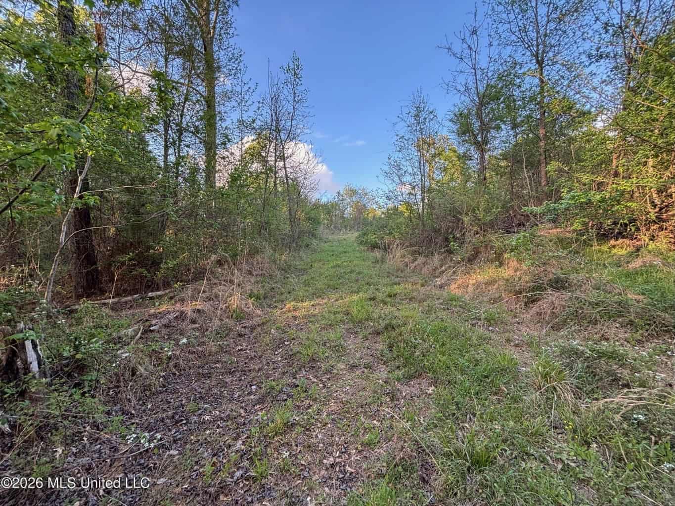 77 Acres in Edwards, MS Hinds County Big Black River Region