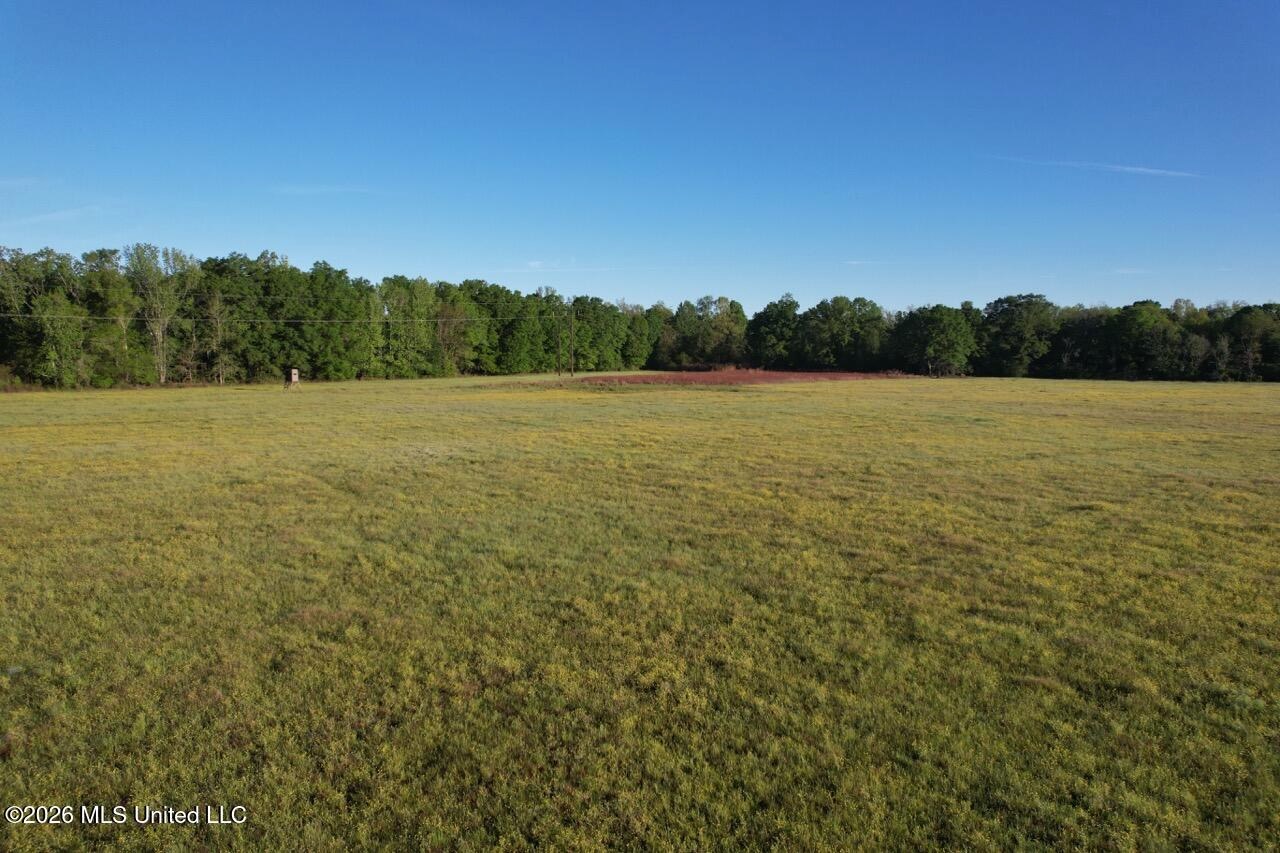 266± Acres Hinds/Copiah Line with Creek and Income