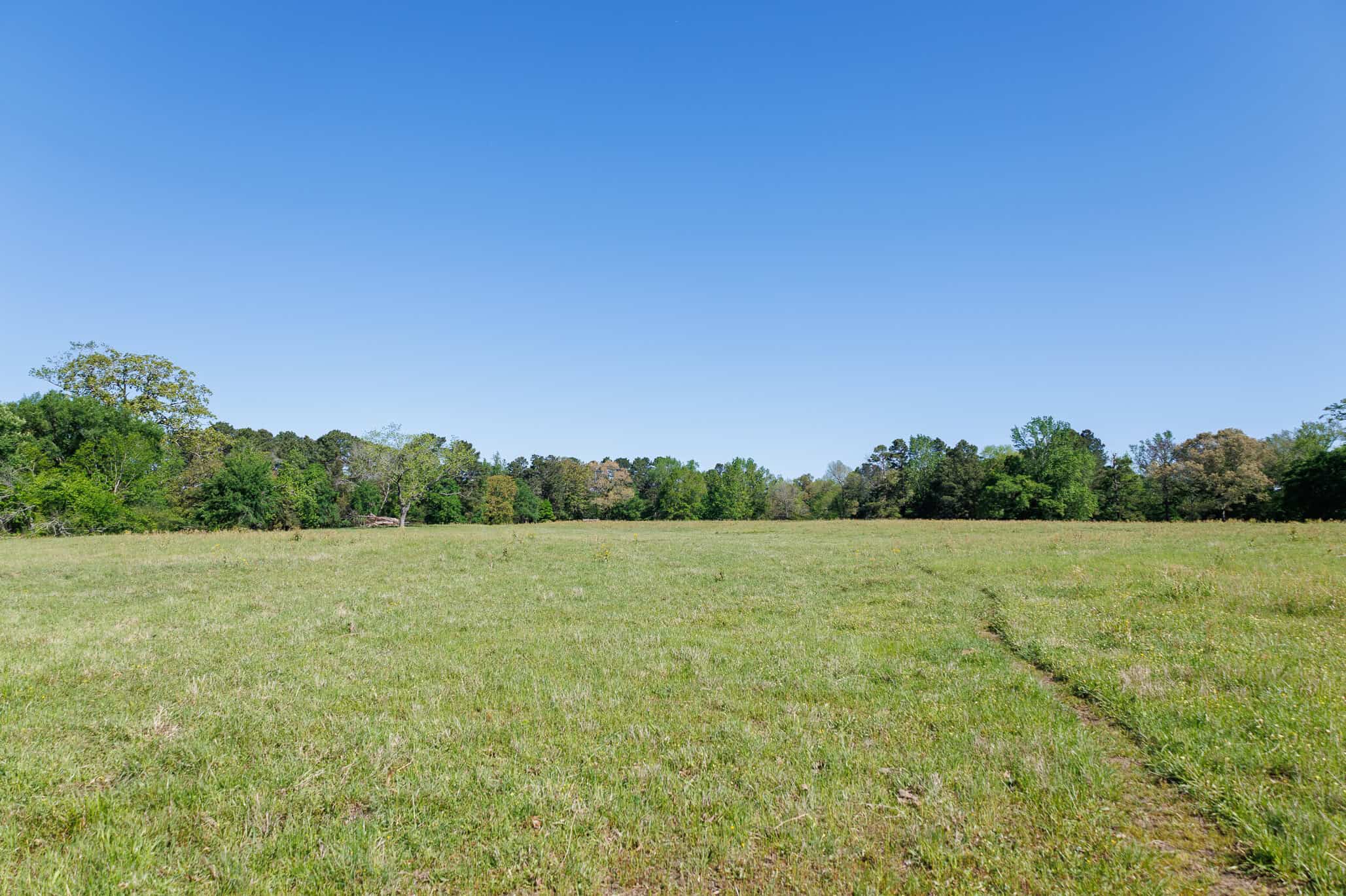 31.74 Acre Recreational Ranch Near Bullard in Smith County TX