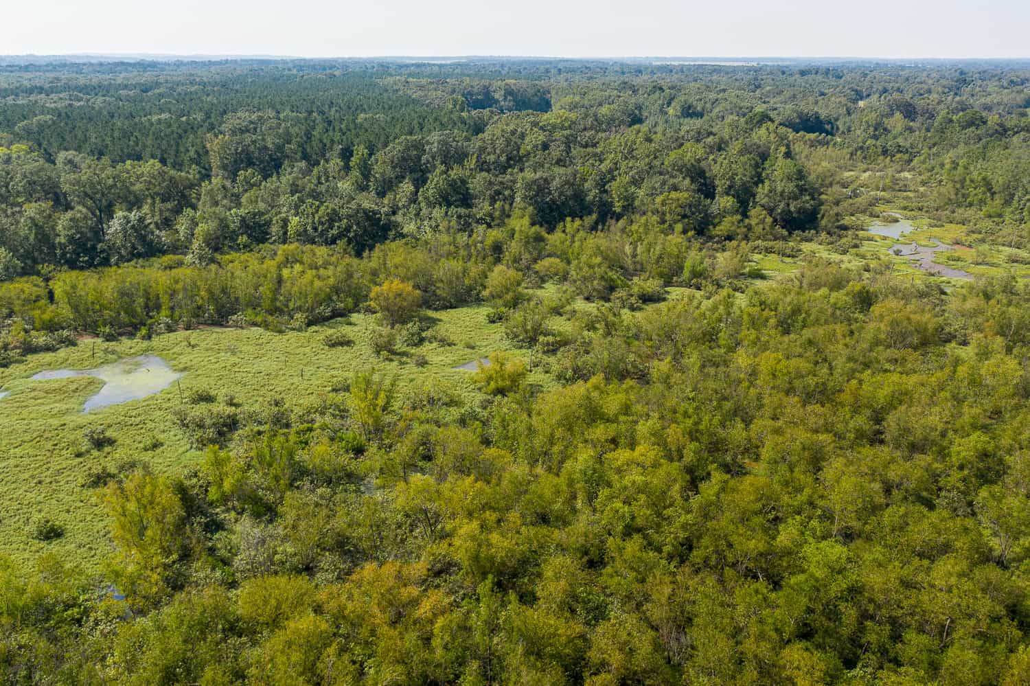 863-Acre Hunting Ranch on the Sabine River near Big Sandy TX