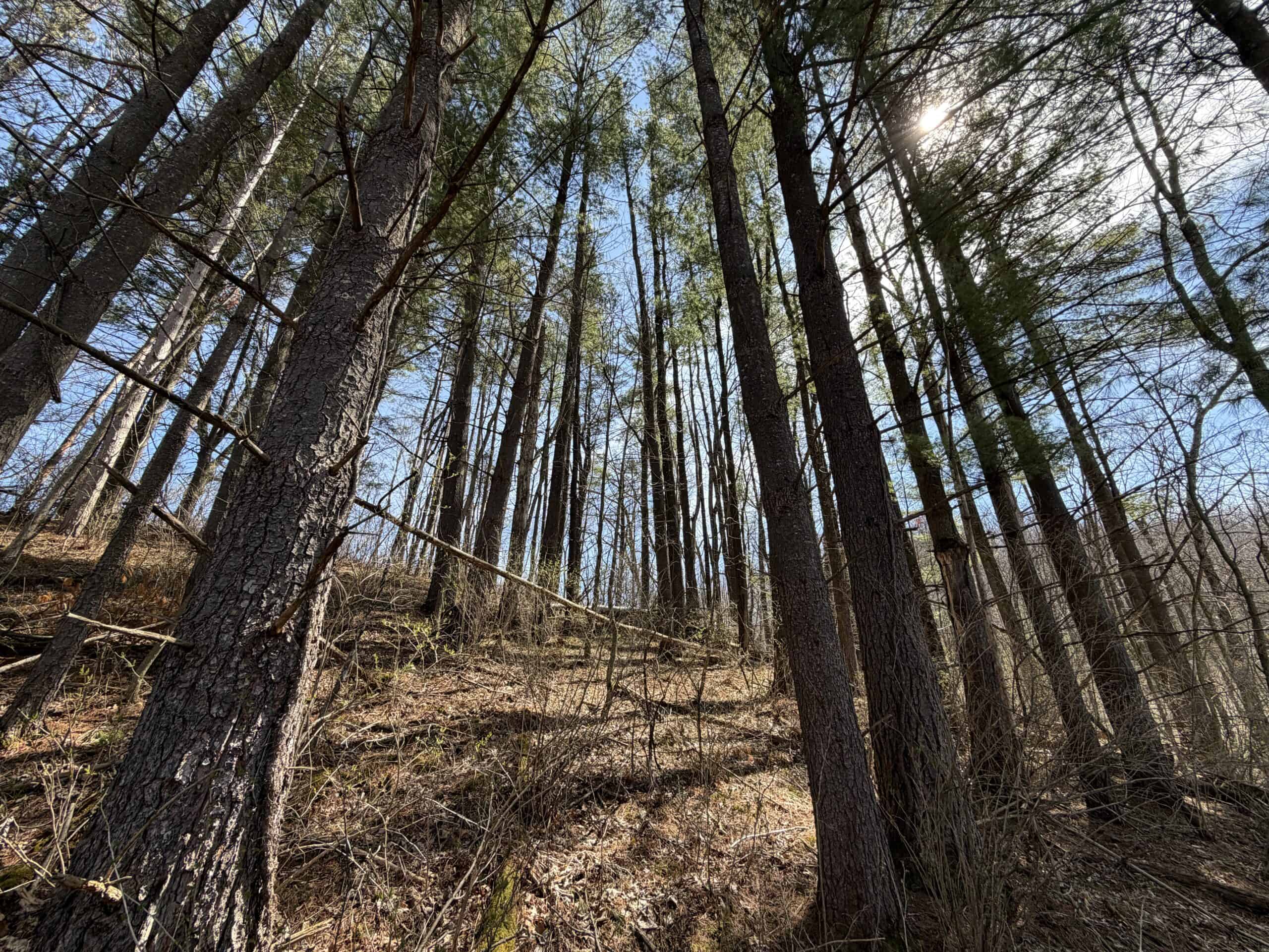 SW Wisconsin Country Home, 30.53 Wooded Acres (Driftless Region)