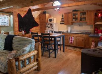 Northern MI 2-Bedroom Cabin in Canada Creek Ranch, Atlanta MI