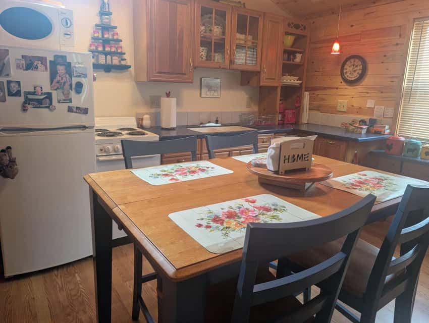 Northern MI 2-Bedroom Cabin in Canada Creek Ranch, Atlanta MI