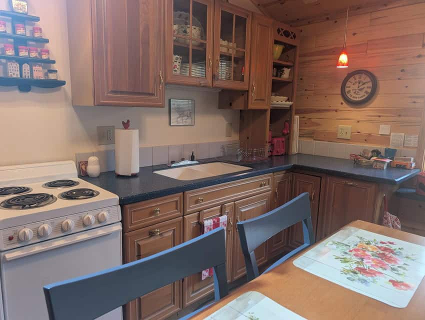 Northern MI 2-Bedroom Cabin in Canada Creek Ranch, Atlanta MI