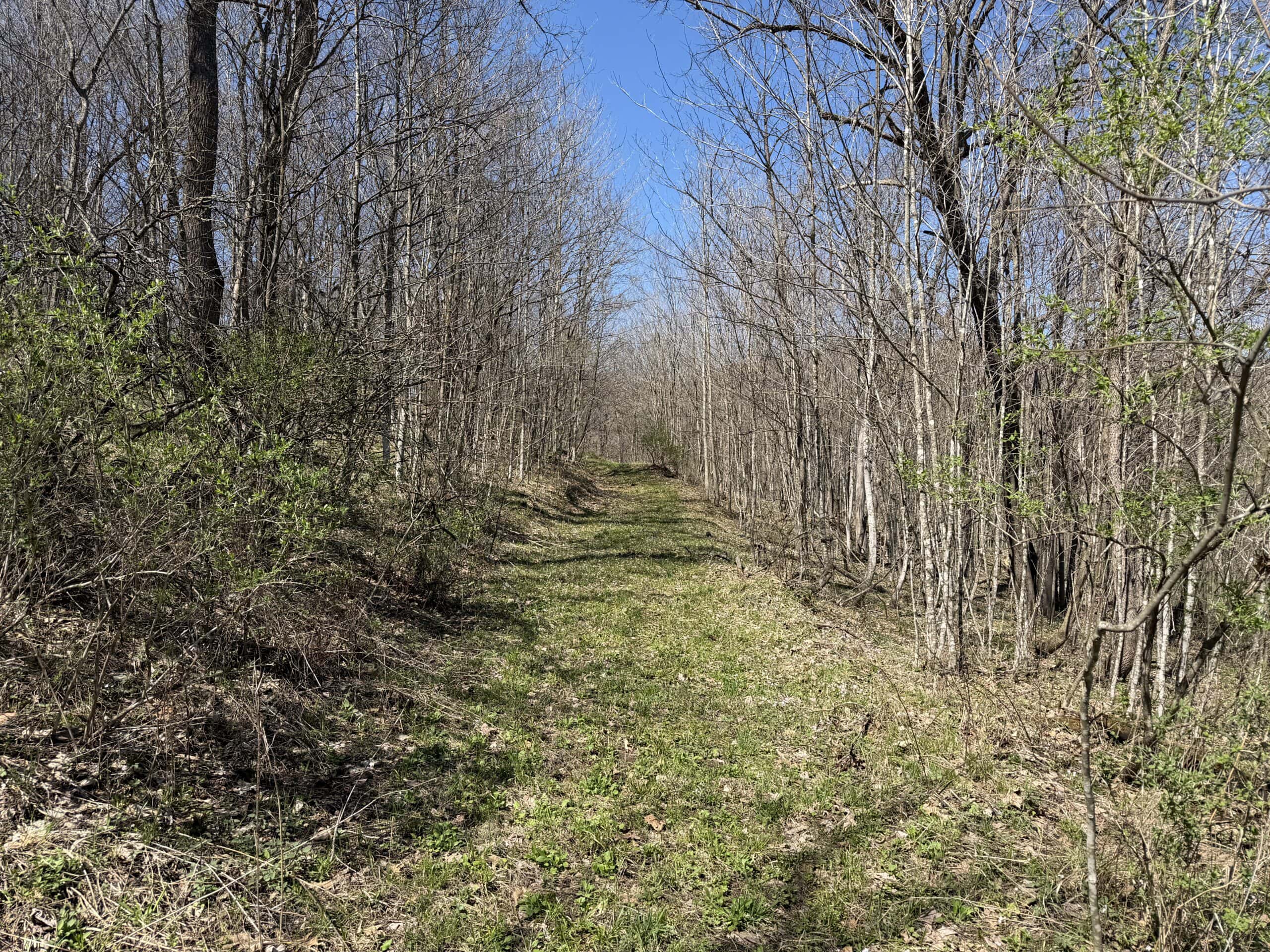 SW Wisconsin Country Home, 30.53 Wooded Acres (Driftless Region)