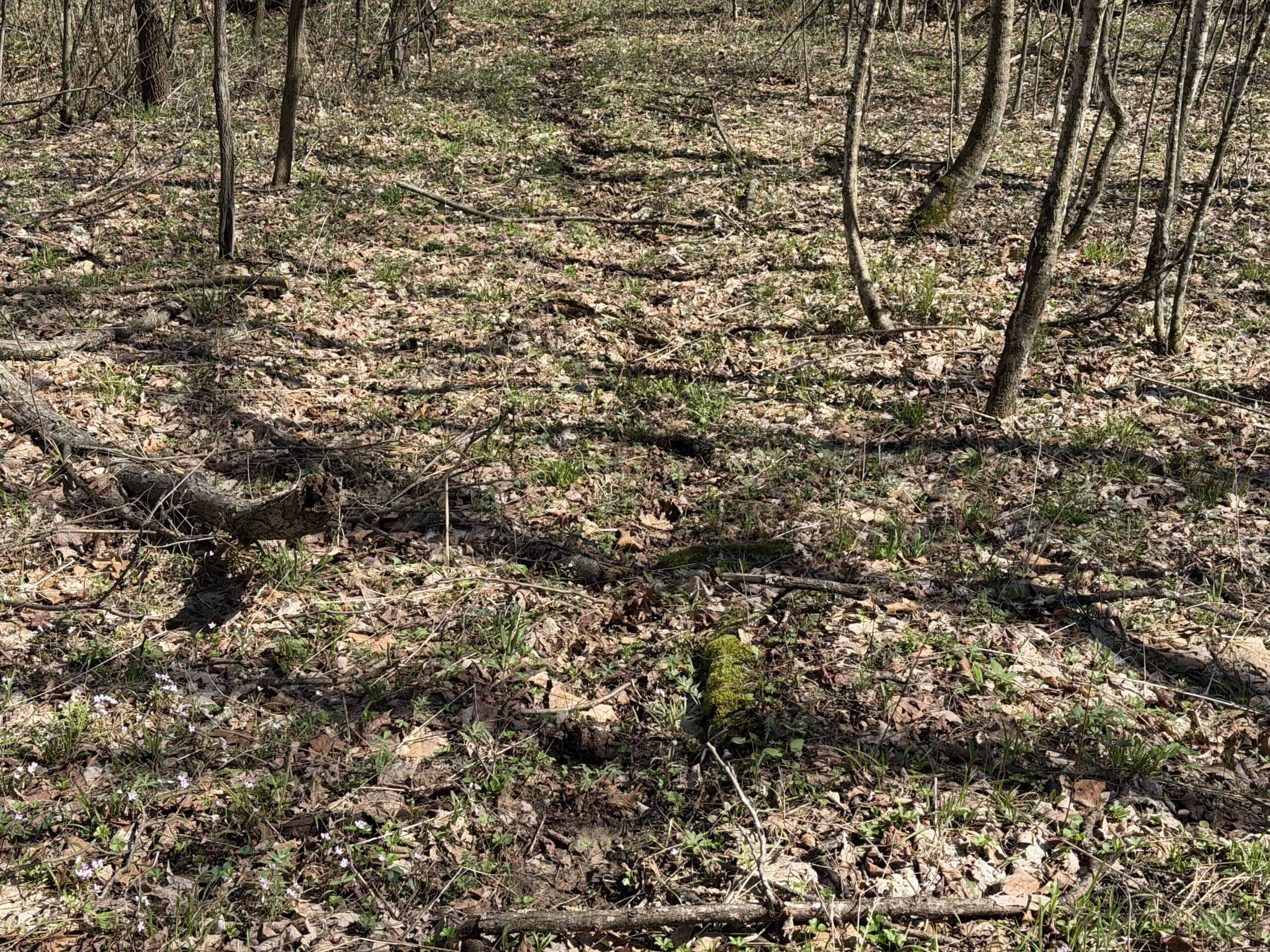 SW Wisconsin Country Home, 30.53 Wooded Acres (Driftless Region)