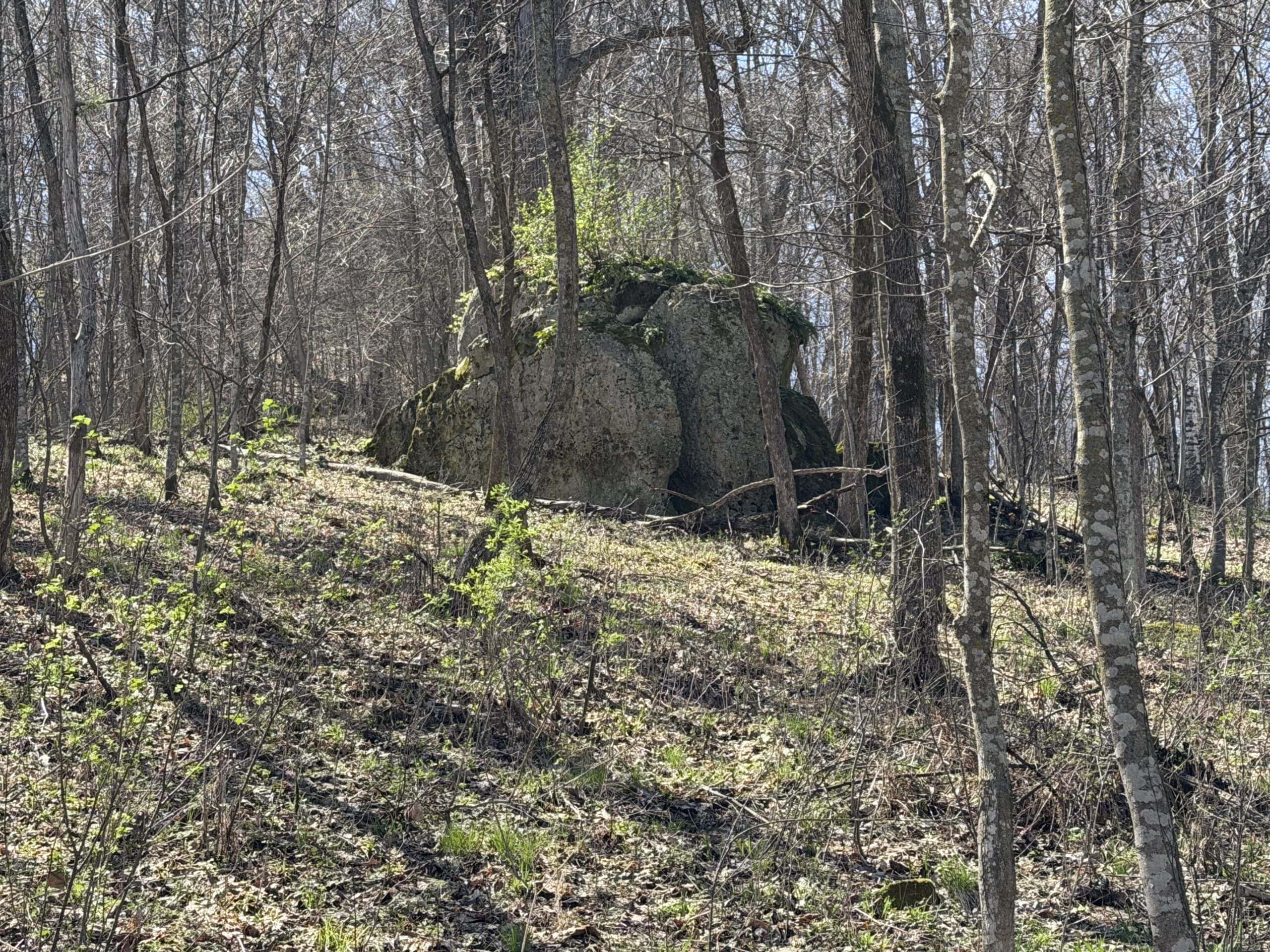 SW Wisconsin Country Home, 30.53 Wooded Acres (Driftless Region)